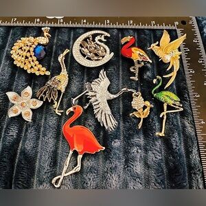 Pick One Vibrant Bird and Floral Brooch Collection